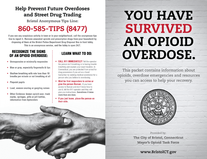 Opioid Brochure Cover You survived v7.jpg