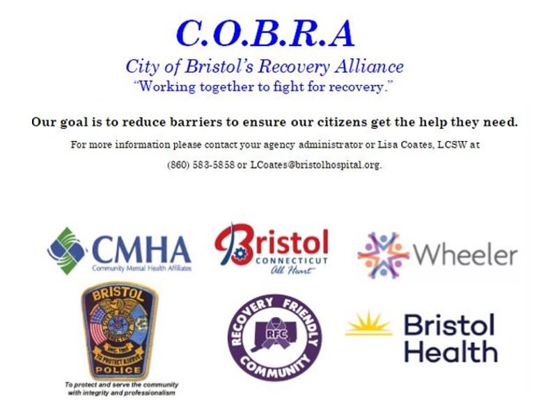 Cobra Shortened Website